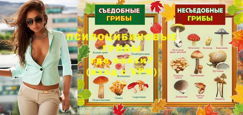 Галлюциногенные грибы GOLDEN TEACHER  купить наркоту  omg ONION  Белореченск 